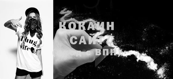 ALPHA PVP Куйбышев