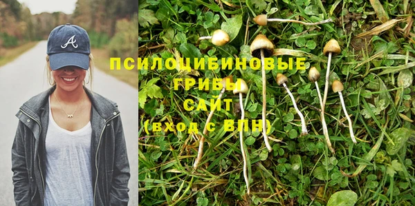 мдпв Кулебаки