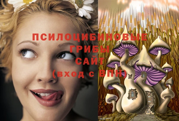 мяу мяу мука Кукмор