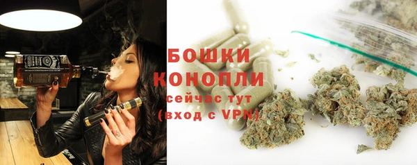 мдпв Кулебаки