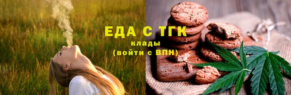 гидра Тайга