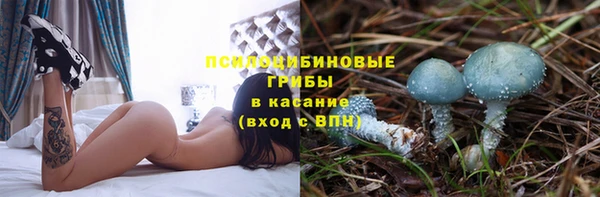 мяу мяу мука Кукмор
